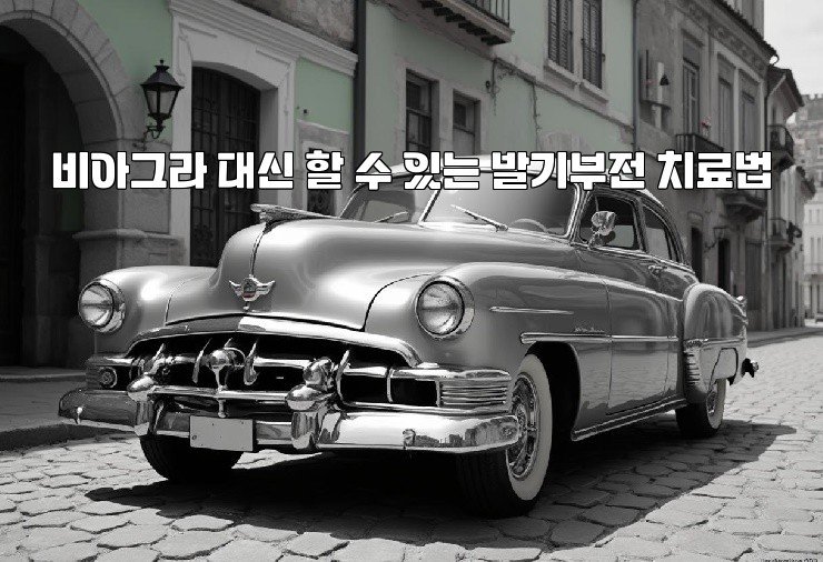 비아그라 대신 할 수 있는 발기부전 치료법