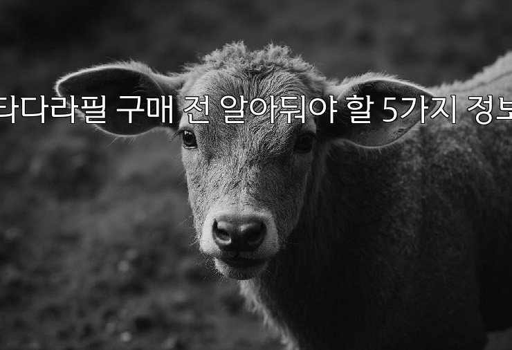 타다라필 구매 전 알아둬야 할 5가지 정보