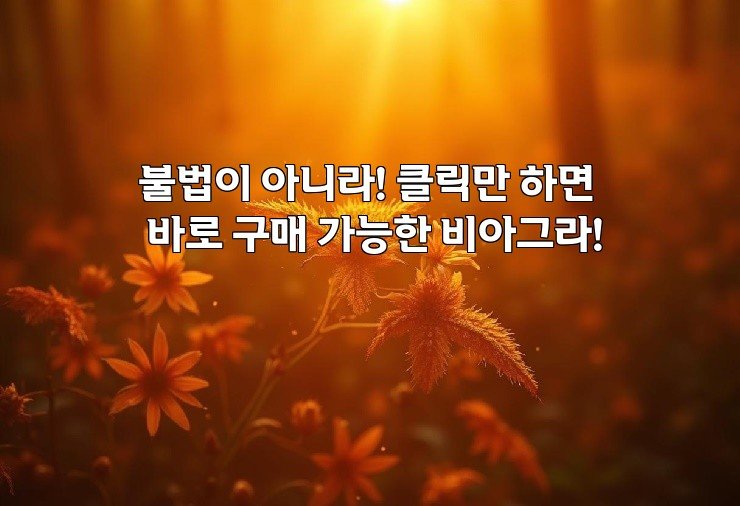 불법이 아니라! 클릭만 하면 바로 구매 가능한 비아그라!