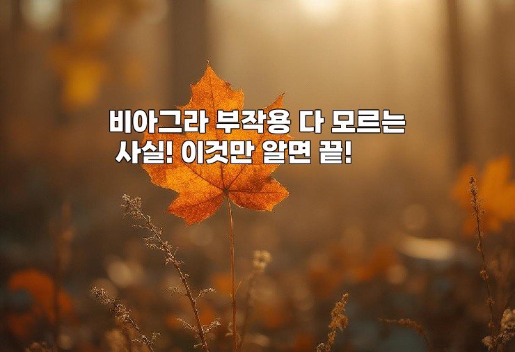 비아그라 부작용 다 모르는 사실! 이것만 알면 끝!