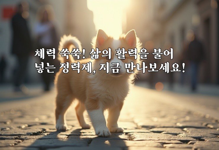 체력 쑥쑥! 삶의 활력을 불어넣는 정력제, 지금 만나보세요!