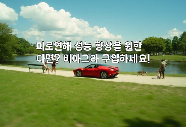 피로연해 성능 향상을 원한다면? 비아그라 구입하세요!