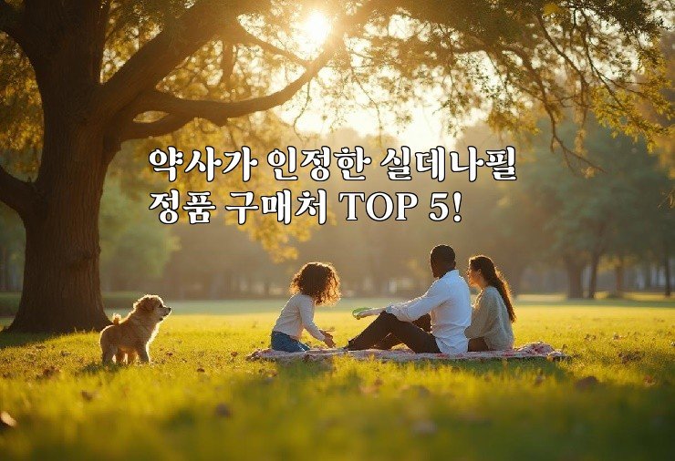 약사가 인정한 실데나필 정품 구매처 TOP 5!