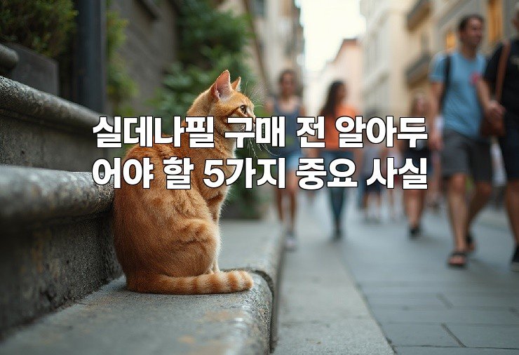 실데나필 구매 전 알아두어야 할 5가지 중요 사실