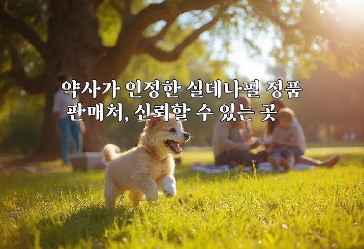 약사가 인정한 실데나필 정품 판매처, 신뢰할 수 있는 곳