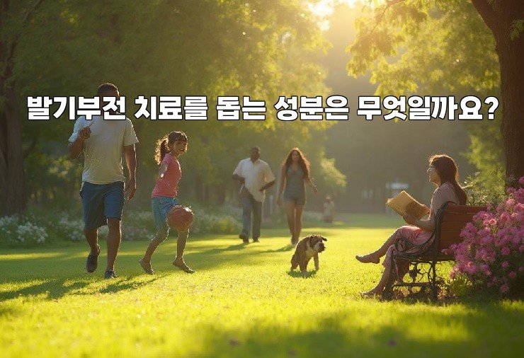 발기부전 치료를 돕는 성분은 무엇일까요?
