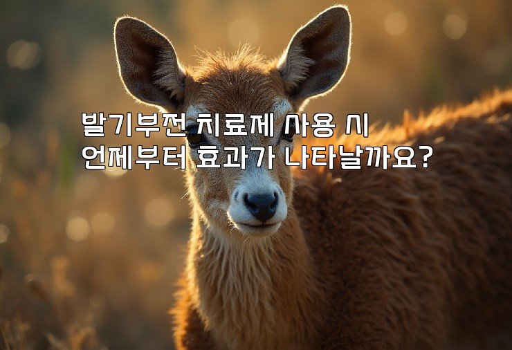 발기부전 치료제 사용 시 언제부터 효과가 나타날까요?