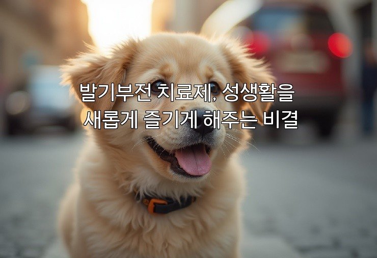 발기부전 치료제, 성생활을 새롭게 즐기게 해주는 비결