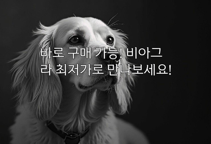 바로 구매 가능! 비아그라 최저가로 만나보세요!