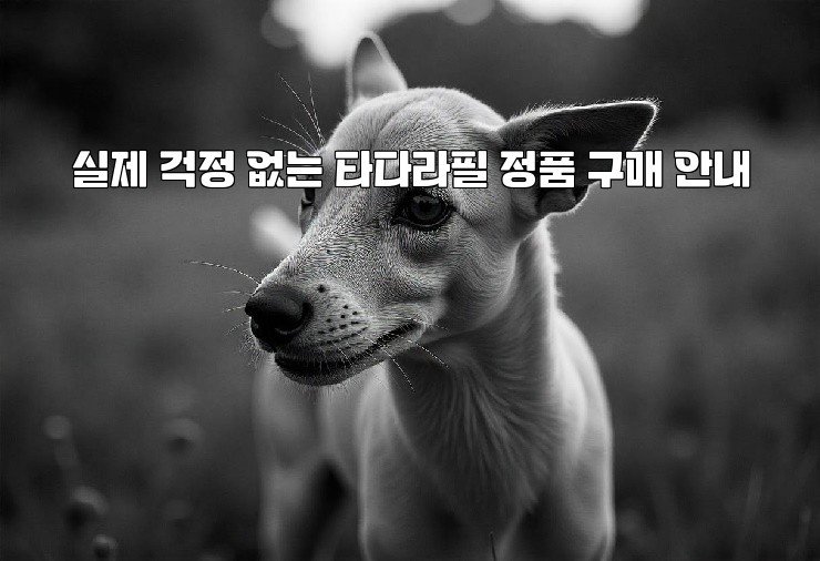 실제 걱정 없는 타다라필 정품 구매 안내