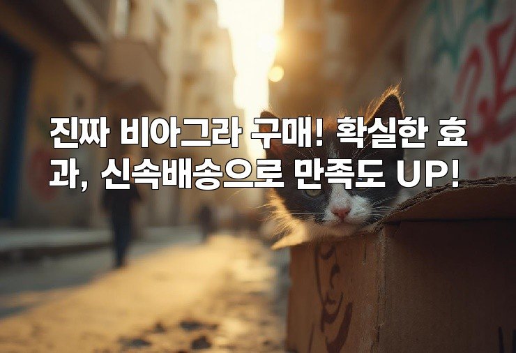 진짜 비아그라 구매! 확실한 효과, 신속배송으로 만족도 UP!